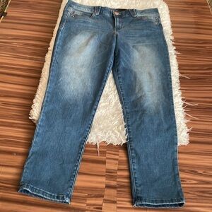 DEMOCRACY Ab Solution Jeans Size 14